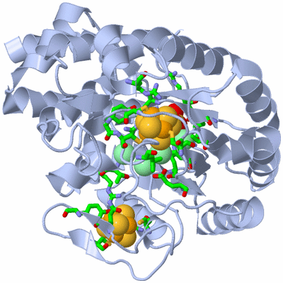 Image Biol. Unit 1 - sites