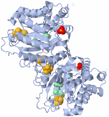 Image Biological Unit 2