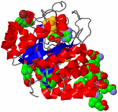 Image Asym./Biol. Unit