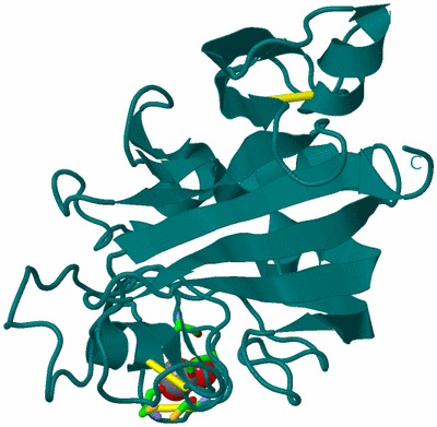 Image Biol. Unit 1 - sites