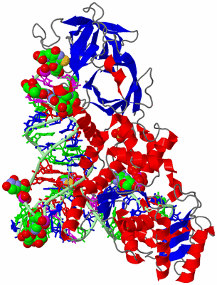 Image Asym./Biol. Unit