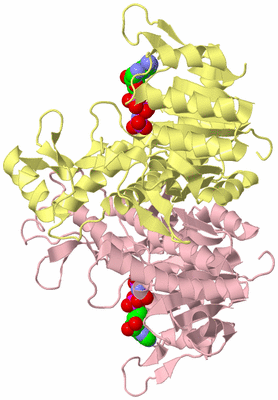 Image Biological Unit 2