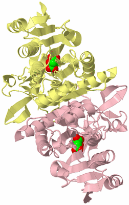 Image Biological Unit 2