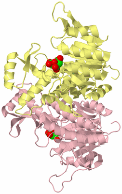 Image Biological Unit 2