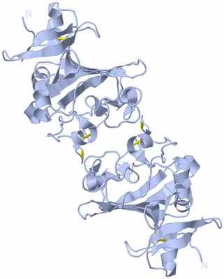 Image Biological Unit 2