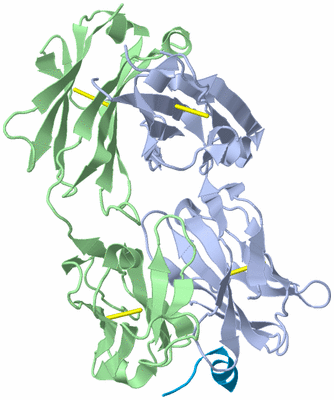 Image Biological Unit 1