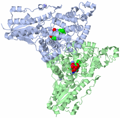 Image Asym./Biol. Unit