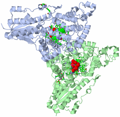 Image Asym./Biol. Unit - sites