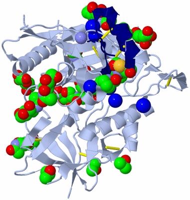 Image Asym./Biol. Unit