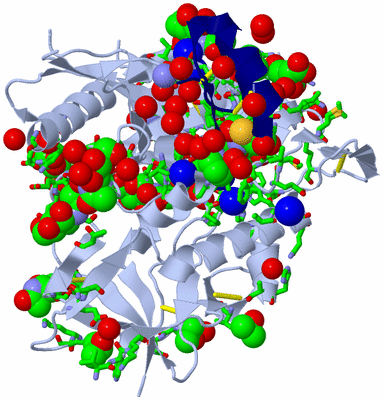 Image Asym./Biol. Unit - sites