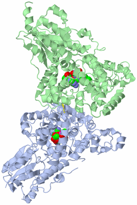 Image Asym./Biol. Unit