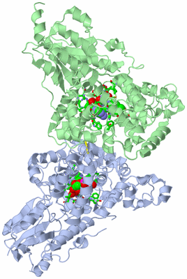 Image Asym./Biol. Unit - sites