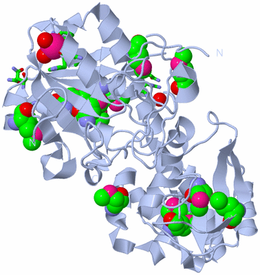 Image Biol. Unit 1 - sites