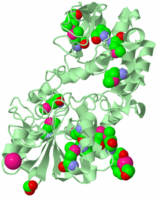 Image Biological Unit 2