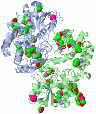 Image Biological Unit 3