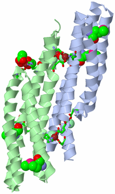 Image Asym. Unit - sites