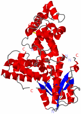 Image Asym./Biol. Unit