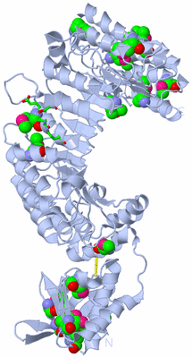 Image Biol. Unit 1 - sites