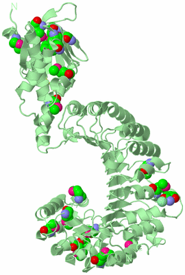 Image Biological Unit 2