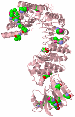 Image Biological Unit 3