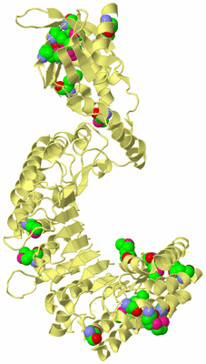 Image Biological Unit 4