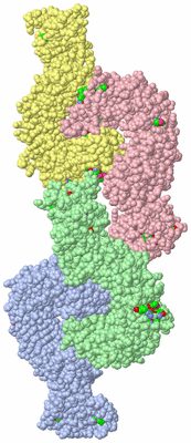 Image Asym. Unit - sites