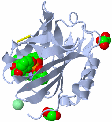 Image Biological Unit 1