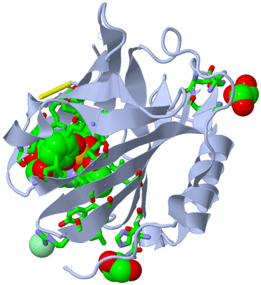 Image Biol. Unit 1 - sites