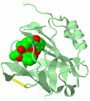 Image Biological Unit 2