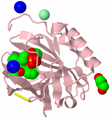 Image Biological Unit 3