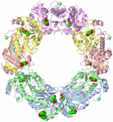 Image Biological Unit 1