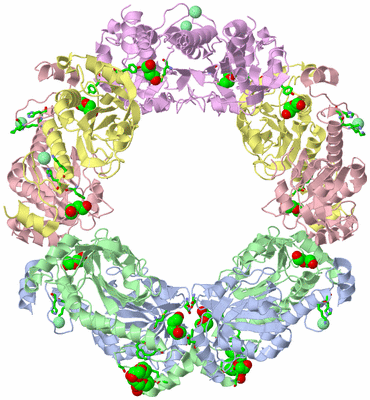 Image Biol. Unit 1 - sites