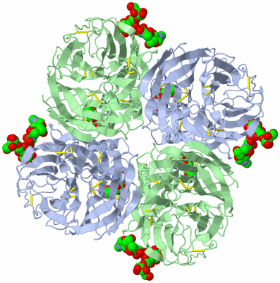 Image Biological Unit 1