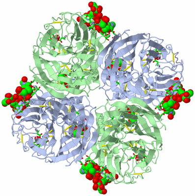 Image Biol. Unit 1 - sites