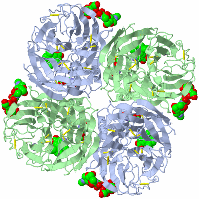 Image Biological Unit 1