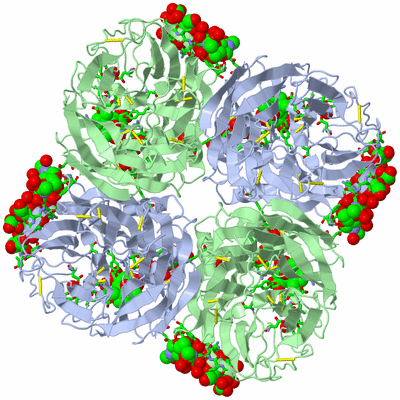 Image Biol. Unit 1 - sites