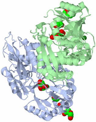 Image Biological Unit 1