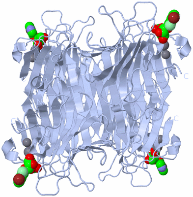 Image Biological Unit 1