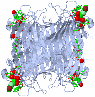 Image Biol. Unit 1 - sites