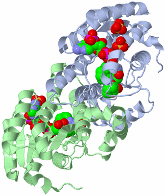 Image Asym./Biol. Unit