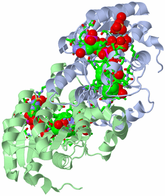 Image Asym./Biol. Unit - sites