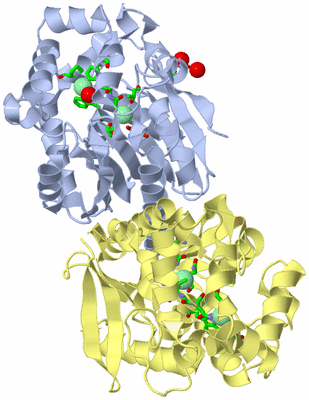 Image Biol. Unit 1 - sites