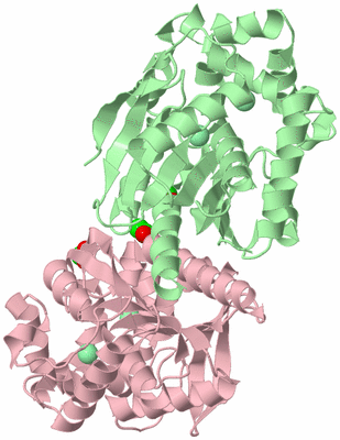 Image Biological Unit 2