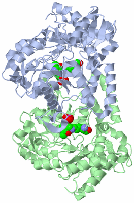 Image Asym./Biol. Unit