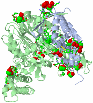 Image Asym./Biol. Unit - sites