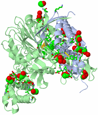 Image Asym./Biol. Unit - sites