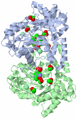 Image Asym./Biol. Unit