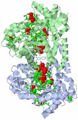 Image Asym./Biol. Unit - sites