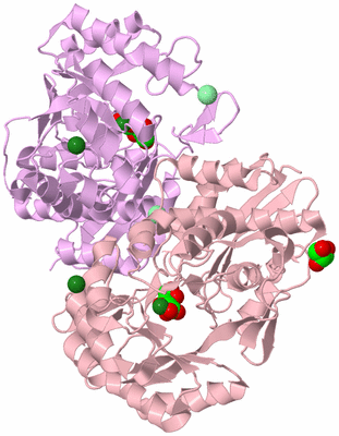 Image Biological Unit 2