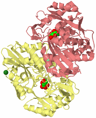 Image Biological Unit 3